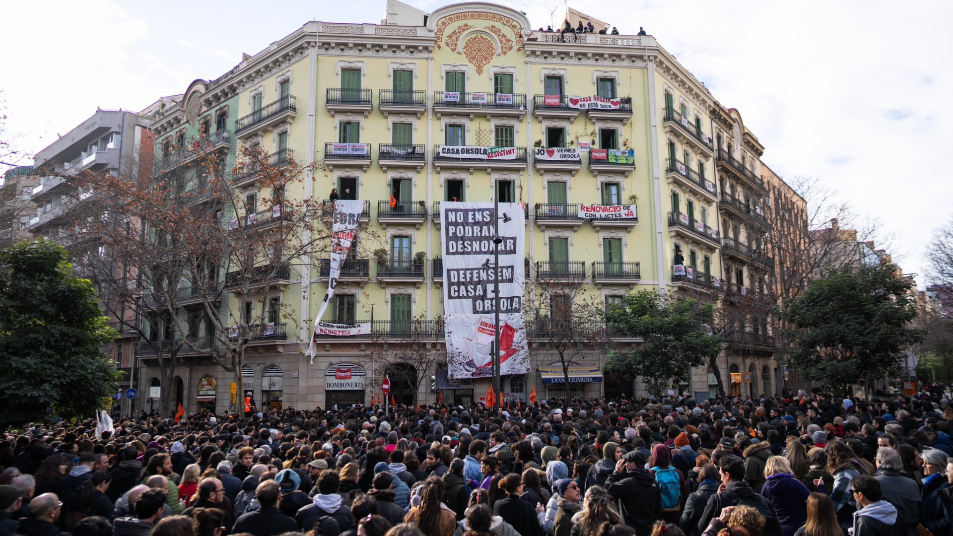 Anar a Actualitat    9555